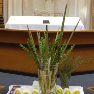 Sukkot1
