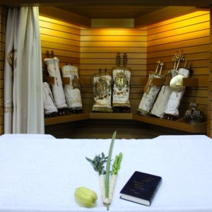 Sukkot2